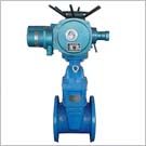 電動彈性座封閘閥